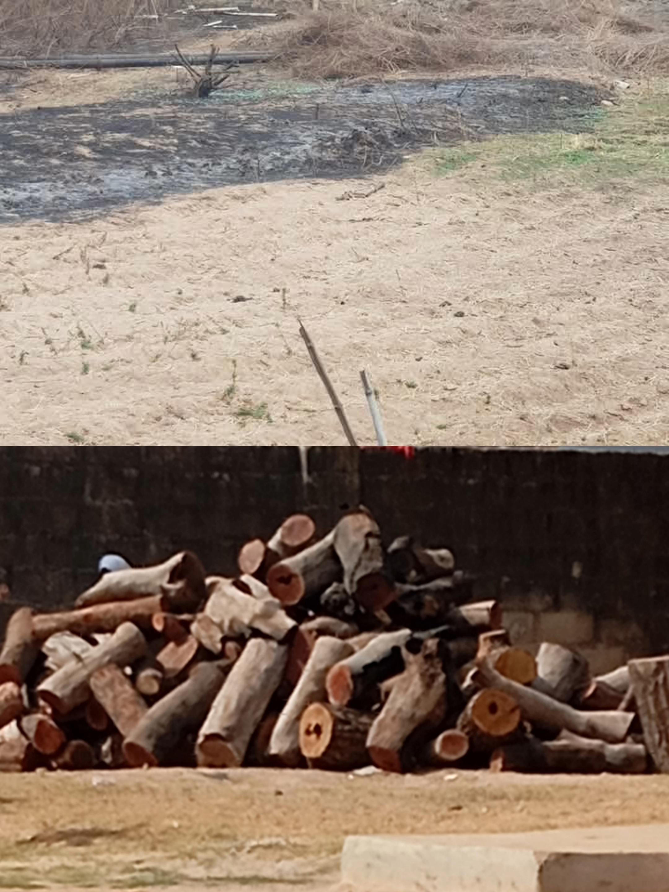 Destruction of Nature, the Leading Cause of Hunger in Our Land